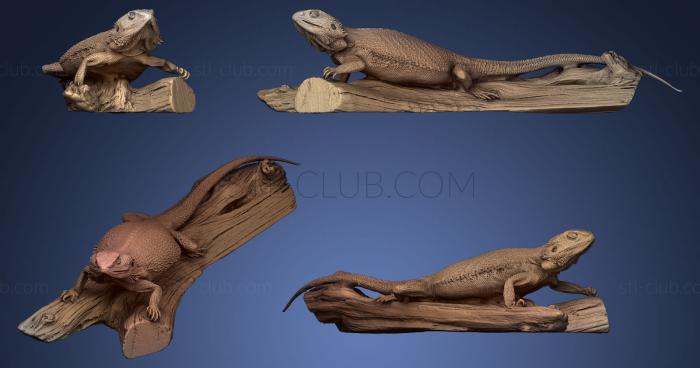 3D model Bearded Dragon (STL)